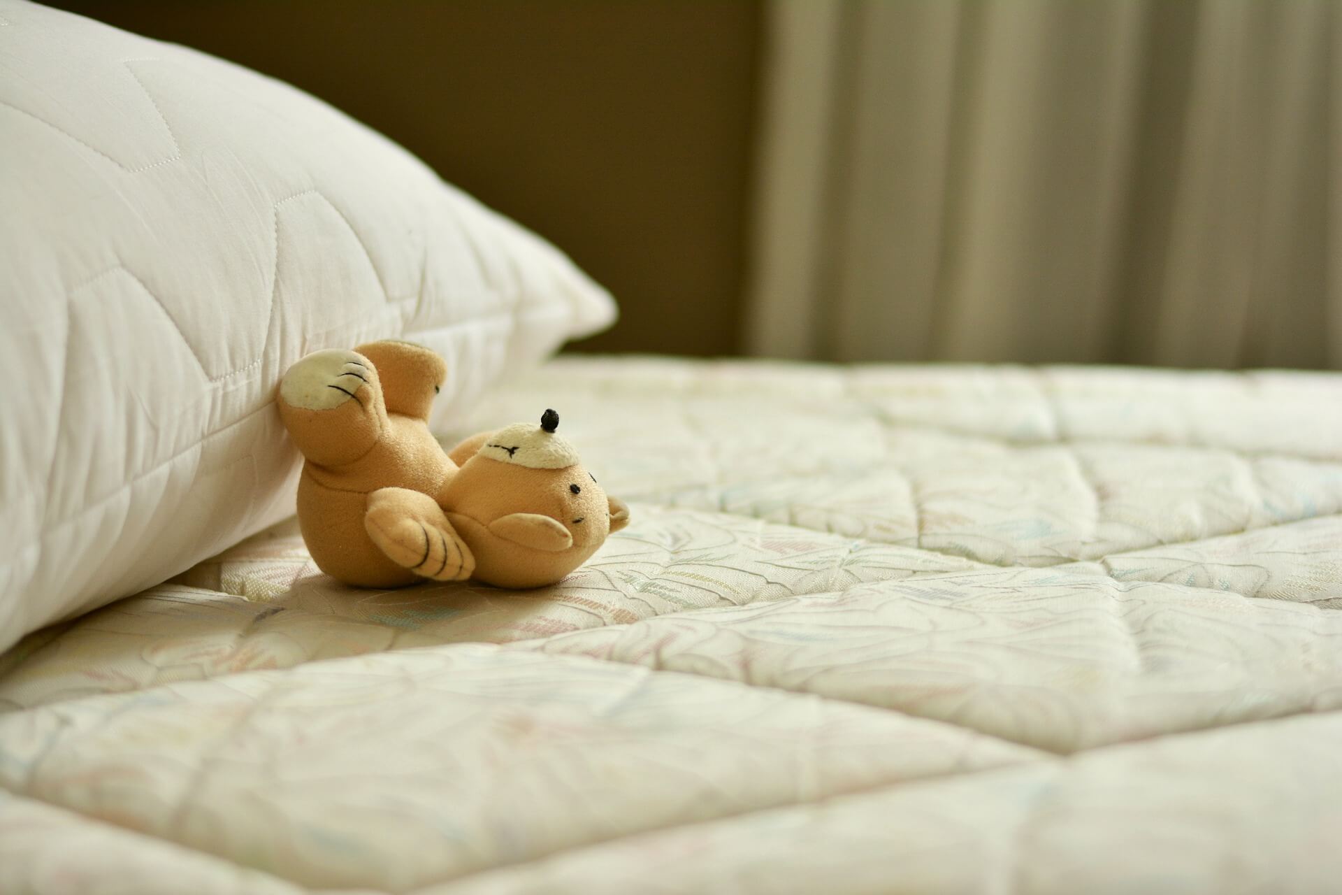 pocket spring mattress with bear