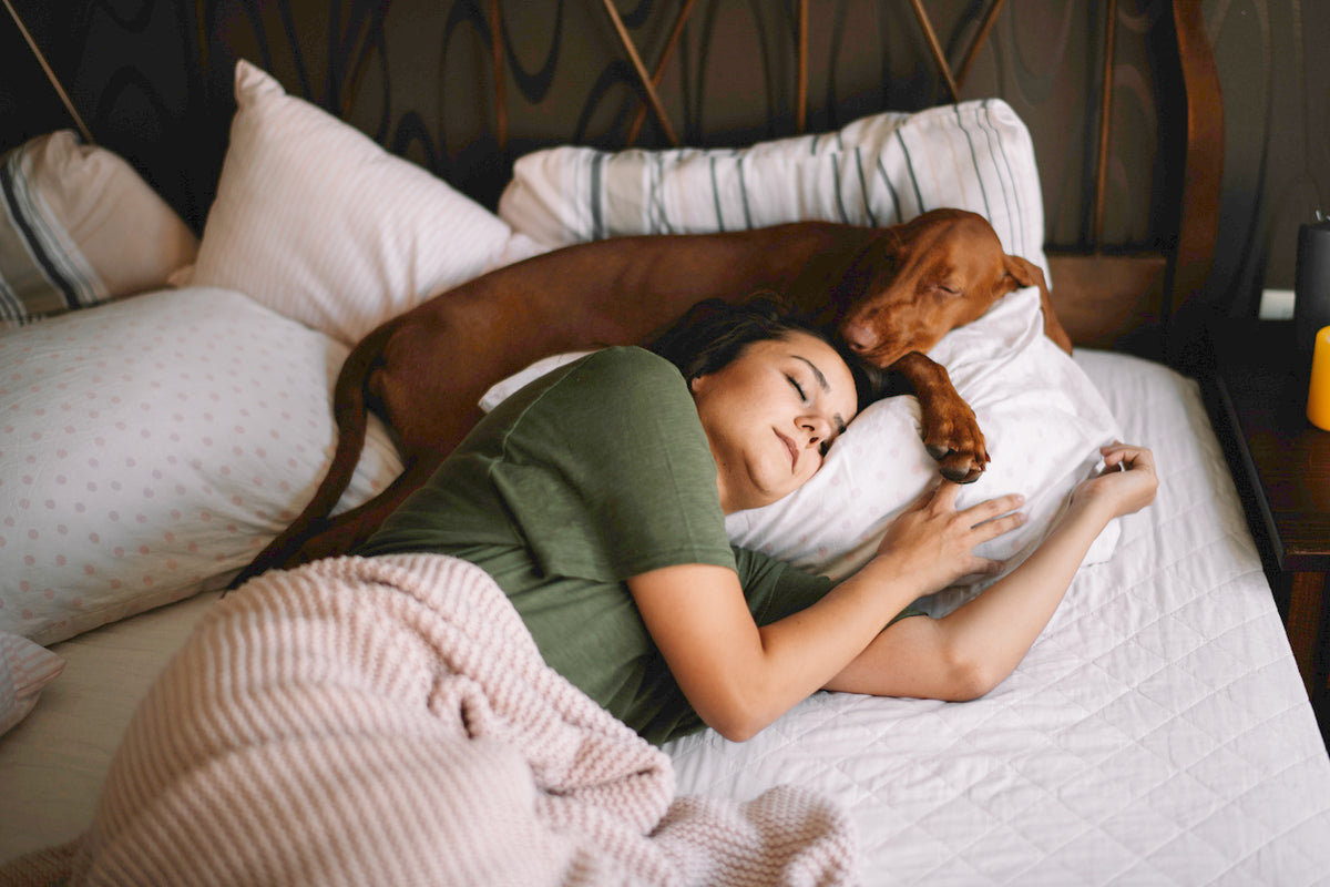 To Share or Not to Share: The Pros and Cons of Letting Your Pet Sleep in Your Bed