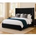 Bauhaus Luxe Bed Frame